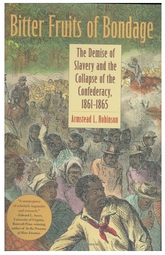 Civil War Era slavery - Bitter Fruits of Bondage - cover